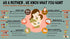 HEALTHY PANDA Organic Multigrain Dry fruit Baby Cereal